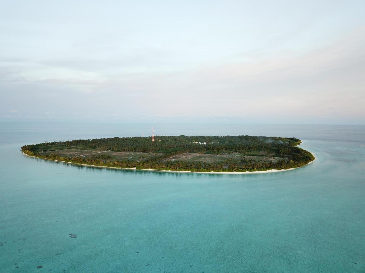 Amazing View Guest House Thoddoo Eksteriør bilde